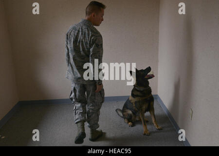 Stati Uniti Air Force Senior Airman Benjamin Howard, 633rd forze di sicurezza militari squadrone cane da lavoro gestore, ricerche di esplosivo formazione aiuti con Rony, un 633rd SFS MWD, a base comune Langley-Eustis, Virginia, nov. 29, 2016. Il canino e il gestore cercato attraverso camere di trovare simulato minacce esplosiva. Airman 1. Classe Tristan Biese) Foto Stock