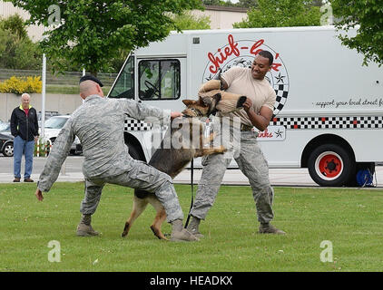 Il personale Sgt. Il Ciad Coe, 86a forze di sicurezza militari squadrone cane da lavoro gestore, tenta di scalzare il Charone, 86FS MWD, da un "colpevole" durante una dimostrazione di MWD Maggio 9, 2015, a Ramstein Air Base, Germania. La dimostrazione è stata una parte di un display tenutosi presso il Kaiserslautern militare centro comunitario in onore della polizia nazionale settimana. Airman 1. Classe Tryphena Mayhugh) Foto Stock
