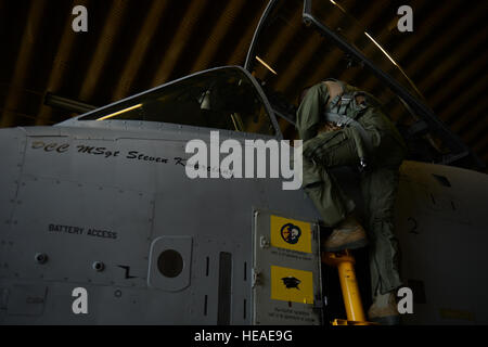 SPANGDAHLEM AIR BASE, Germania - STATI UNITI Air Force Lt. Col. Clinton Eichelberger, 81st Fighter Squadron commander, ispeziona il cockpit di un U.S. Air Force A-10 Thunderbolt II attacco aereo prima di uscire Maggio 17, 2013. Eichelberger volato una delle quattro finali A-10 del volo aereo a lasciare l Europa a Spangdahlem Air Base. Airman 1. Classe Gustavo Castillo Foto Stock