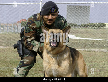 Il personale Sgt. Ronnie Garcia, 39th forze di sicurezza militari squadrone cane da lavoro gestore, e il suo partner, Jag, 39th SFS militari di cane da lavoro, assumono un atteggiamento aggressivo durante l aggressione formazione Luglio 12. I militari lavorano i cani sono addestrati per diverse volte alla settimana per mantenere competenze vi sharp. (Brevetto statunitense n. S. Air Force Senior Airman Jason Burton) Foto Stock