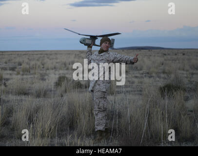 Lancia Marine Cpl. Nicholas Thompson, 1° ANGLICO osservatore in avanti da Clinton, Iowa, si prepara a lanciare il RQ-11B Raven il 9 ottobre, 2013, all'Saylor Creek gamma. Il più piccolo dei ANGLICO's Unmanned Aerial systems, Raven ha una apertura alare di 4 piedi e 6 pollici, pesa 4 libbre, ha una durata di volo di 60-90 minuti e un efficace raggio operativo di circa 6.2 miglia. Senior Airman Benjamin Sutton/) Foto Stock