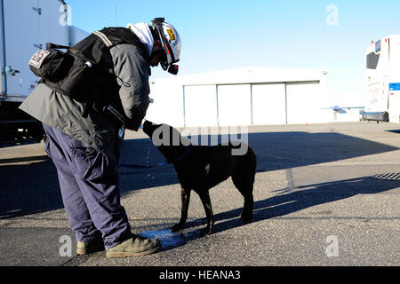 Live Search Gardez cane ottiene una bevanda di acqua dal suo gestore Frain Brent, in un aeroporto in Nassau County, N.Y., prima della voce di condurre perquisizioni casa per casa, nov. 4, 2012. Frain e Gardez sono membri del Maryland Task Force One ricerca urbana e la squadra di salvataggio e sono attualmente basati sulla giunzione baseGuire-Dix Mc-Lakehurst, N.J. Tech. Sgt. Parker Gyokeres/rilasciato Foto Stock