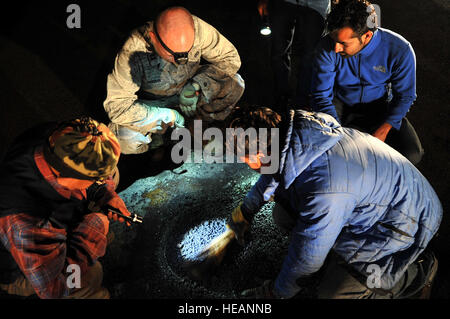 Stati Uniti Air Force Capt. Clark Morgan, 36th mobilità squadrone di risposta di emergenza volo ingegnere commander con Joint Task Force 505, insieme con l' aviazione civile del Nepal membri lavorano per riparare la pista al l'aeroporto internazionale di Tribhuvan di Kathmandu, Nepal, 10 maggio 2015. Il Nepalese funzionari e gli avieri teamed in su per effettuare riparazioni necessarie all'aeroporto dopo aver subito un danno a seguito di un ordine di grandezza 7.8 scossa di terremoto che ha colpito la nazione Aprile 25. In risposta al Nepal terremoto, i militari statunitensi inviati aviatori, marine, soldati e marinai come parte della JTF 505 per supportare th Foto Stock