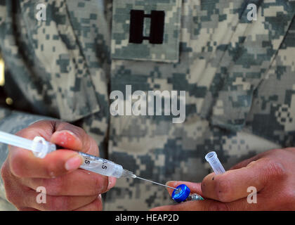 Stati Uniti Esercito Capt. Govanni Sherrod, veterinario dal 719th Medical il distacco dei servizi veterinari, Fort Sheridan, Ill., prepara un animale siringa di vaccinazione presso il veterinario readiness esercizio di formazione tenutosi a Orange Walk, Belize 17 aprile 2013. I professionisti medici da gli Stati Uniti sono a fornire gratuitamente il trattamento veterinario al più disponibilità veterinaria esercizi di formazione in tutto il Belize come parte di un esercizio noto come nuovi orizzonti. Il VETRETES sono progettati per fornire le vaccinazioni per gli animali in diverse comunità, contribuendo a migliorare le competenze dei militari degli Stati Uniti le forze di medici. Tech Foto Stock