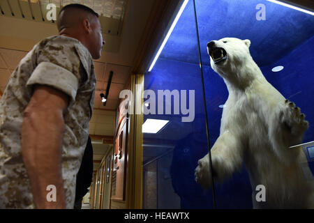 Marine Corps Sgt. Il Mag. Anthony Spadaro, U.S. Pacifico Comando senior leader arruolato, tour negli Stati Uniti Esercito Alaska Headquarters Building, a base comune Elmendorf-Richardson, Alaska, Ott. 19, 2016. Spadaro, nativo di New Brunswick, New Jersey ha visitato JBER per una tre giorni di tour immersione ott. 19 a 21, 2016. Spadaro fornisce il comandante PACOM con la prospettiva arruolato sul teatro la cooperazione in materia di sicurezza, incoraggiando lo sviluppo pacifico, rispondere alle emergenze e scoraggiare le aggressioni in tutta la Indo-Asia-regione del Pacifico. Questa è stata la sua prima visita in Alaska. Airman 1. Classe Javier Alva Foto Stock