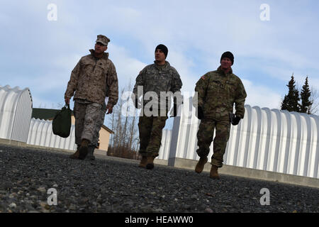 Marine Corps Sgt. Il Mag. Anthony Spadaro, U.S. Pacifico Comando senior leader arruolato, tours Il Airborne Supporto Area Formazione, a base comune Elmendorf-Richardson, Alaska, Ott. 19, 2016. Spadaro, nativo di New Brunswick, New Jersey ha visitato JBER per una tre giorni di tour immersione ott. 19 a 21, 2016. Spadaro fornisce il comandante PACOM con la prospettiva arruolato sul teatro la cooperazione in materia di sicurezza, incoraggiando lo sviluppo pacifico, rispondere alle emergenze e scoraggiare le aggressioni in tutta la Indo-Asia-regione del Pacifico. Questa è stata la sua prima visita in Alaska. Airman 1. Classe Javier Alvarez) Foto Stock