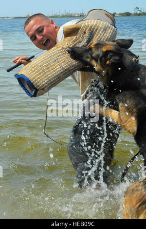 Britta, un militare di cane da lavoro, morsi U.S. Air Force Staff Sgt. Roberto Matos durante una controllata di acqua esercizio di aggressione al campo Hurlburt Fla., 14 luglio 2010. L'obiettivo delle aggressioni di acqua di formazione è quello di consentire i cani per diventare più confortevole il lavoro in una varietà di ambienti. Matos e Britta sono assegnati al 1° operazioni speciali delle forze di sicurezza Squadron. Senior Airman Sheila deVera, U.S. Air Force Foto Stock
