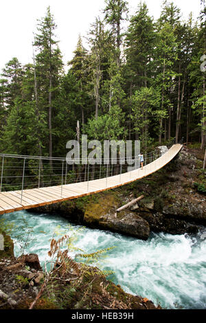 Una donna cammina su un ponte di sospensione sulla Whistler train wreck trail, un posto popolare per i locali artisti di graffiti. Foto Stock