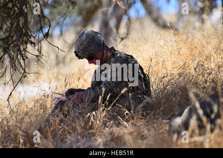 Un esercito di Oregon Guardia Nazionale soldato tenute i suoi punti sotto l'ombra di un albero durante il giorno della navigazione terrestre parte dell'Esperto Fantassin Badge (BEI) caso, 17 Luglio presso il Camp Roberts, Calif. Soldati sia dal 2° Battaglione, 162Reggimento di Fanteria e 1° Battaglione, 186th Reggimento di Fanteria hanno partecipato all'evento, che elimina i soldati nel corso di più di trenta classificato le attività di fanteria. Il cap. Leslie Reed, XLI della brigata di fanteria combattere la squadra degli affari pubblici) Foto Stock