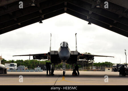 Stati Uniti Air Force aviatori dalla 44th Manutenzione aeromobili unità preparare un F-15C Eagle per un corso di formazione su surge Kadena Air Base, Giappone, Gennaio 15, 2015. La 44th Fighter Squadron di solito conduce innalzamenti di formazione da tre a quattro volte l'anno. Quando eseguito correttamente, esso ha un effetto positivo su unità di orgoglio e visualizza come efficace forza d'aria le pratiche di manutenzione sono. Naoto Anazawa) Foto Stock