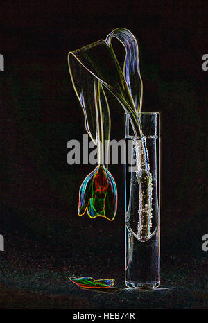 Morendo Tulip in vaso - manipolato digitalmente immagine con bordi incandescente, astratti fiori / Fiori / tulipani su sfondo nero Foto Stock