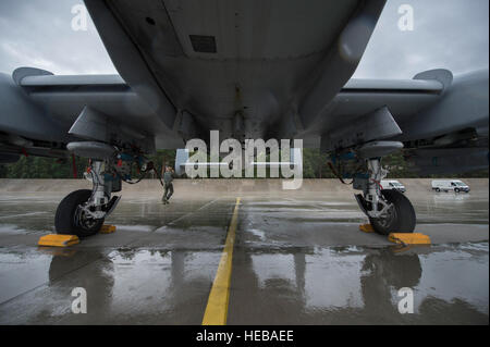 Un U.S. Air Force 354Expeditionary Fighter Squadron A-10 Thunderbolt II attacco pilota aeromobili esegue una passeggiata intorno prima di volo durante un teatro security package deployment a Lask Air Base, Polonia, Luglio 9, 2015. I piloti e i capi equipaggio eseguire la pre- e post-flight ispezioni sul velivolo per assicurare che è sicuro di volare. Il personale Sgt. Christopher Ruano Foto Stock