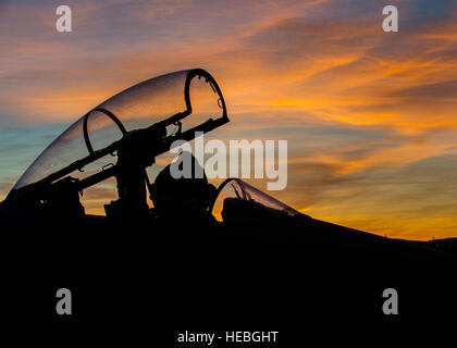 Manutenzione avieri con la Repubblica di Corea Air Force rimuovere ghiaccio dalla tettoia di un F-15K Slam Eagle aerei da combattimento prima di un volo ott. 11, 2016 durante la bandiera rossa-Alaska (RF-A) 17-1 a Eielson Air Force Base in Alaska. Questo Pacific Air Forces commander-diretto esercizio è di vitale importanza per il mantenimento della pace e della stabilità nel Indo-Asia-regione del Pacifico. (U.S. Air Force photo by Staff Sgt. Shawn nichel) Foto Stock