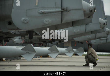 Un U.S. Air Force 354Expeditionary Fighter Squadron capo equipaggio esegue la pre-taxi controlli a U.S. Air Force A-10 Thunderbolt II attacco aereo durante un teatro security package deployment di Lask Air Base, Polonia, 10 luglio 2015.L'U.S. Air Force e gli alleati della NATO e partner " contributi continua a sviluppare e a migliorare la disponibilità di aria sono significativi nel mantenimento della sicurezza e la creazione di un partenariato di capacità. (U.S. Air Force photo by Staff Sgt. Christopher Ruano/rilasciato) Foto Stock