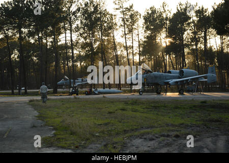 MONTE Real, Portogallo - A-10 Thunderbolt II getti dall'81st Fighter Squadron sedersi dopo una missione in Monte Real, Portogallo, 14 febbraio, 2013. La formazione è per la multinazionale, operazioni congiunte a sostegno delle future operazioni militari nel quadro di diversi internazionale di forze che hanno collaborato, come la NATO e UE. (U.S. Air Force photo by Staff Sgt. Nathanael Callon/rilasciato) Foto Stock