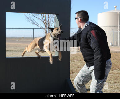 Stati Uniti Air Force Staff Sgt. Kenneth Holt, 27 Operazioni speciali delle forze di sicurezza militari squadrone cane da lavoro handler, prassi sospettare prendere bite punte con K-9 unità Ben K326 in corrispondenza di un ostacolo corso per MWDs a Cannon Air Force Base, N.M., Marzo 15, 2012. Tutti i K-9 unità assegnate al cannone sono a doppio scopo di pattugliamento e di rilevazioni canini responsabile per la protezione del personale di base e delle risorse. (U.S. Air Force foto di Airman 1. Classe Alexxis Pons Abascal) Foto Stock