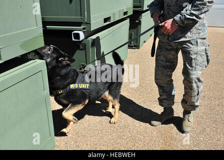 Stati Uniti Air Force Staff Sgt. Adam Wylie, 27 Operazioni speciali delle forze di sicurezza militari squadrone cane da lavoro gestore, conduce una rilevazione esercizio con K-9 unità Dino K014 vicino ad un magazzino a Cannon Air Force Base, N.M., Marzo 15, 2012. Tutti i K-9 unità assegnate al cannone sono a doppio scopo di pattugliamento e di rilevazioni canini responsabile per la protezione del personale di base e delle risorse. (U.S. Air Force foto di Airman 1. Classe Alexxis Pons Abascal) Foto Stock