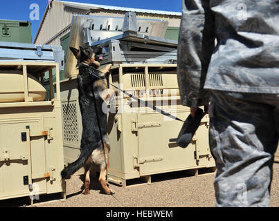 Stati Uniti Air Force Staff Sgt. Steven Perez, 27 Operazioni speciali delle forze di sicurezza militari squadrone cane da lavoro gestore, esegue un rilevamento di esercitare con la sua K-9 unità vicino ad un magazzino a Cannon Air Force Base, N.M., Marzo 15, 2012. Tutti i K-9 unità assegnate al cannone sono a doppio scopo di pattugliamento e di rilevazioni canini responsabile per la protezione del personale di base e delle risorse. (U.S. Air Force foto di Airman 1. Classe Alexxis Pons Abascal) Foto Stock