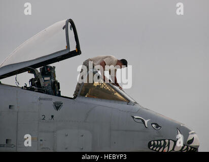 Un U.S. Airman assegnato al 355Fighter salviette giù i finestrini anteriori di un A-10 Thunderbolt II aeromobili prima una mattina sortie durante il combattimento martello aria-terra sistema di arma a un programma di valutazione a Eglin Air Force Base, Fla., Feb 19, 2014. Il giro della formazione è stato gestito dalla 86Armi Fighter Squadron, 53rd armi il gruppo di valutazione. (U.S. Air Force foto di Samuel King Jr./rilasciato) Foto Stock