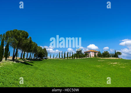 Verde tipico paesaggio toscano in Val d'Orcia con una fattoria su una collina, cipressi, pini e blu cielo molto nuvoloso Foto Stock