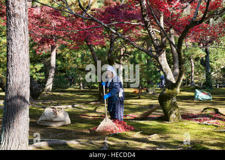 Rastrellare foglie a Kinkaku-ji (Padiglione Dorato), Kyoto, Giappone Foto Stock