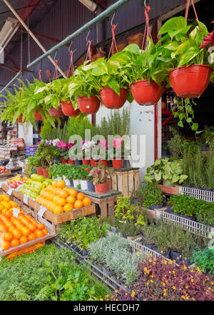 Argentina, Provincia di Buenos Aires, Tigre, vista del Puerto de Frutos mercato. Foto Stock