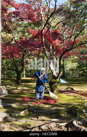 Rastrellare foglie a Kinkaku-ji (Padiglione Dorato), Kyoto, Giappone Foto Stock