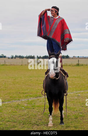 Argentina, Provincia di Buenos Aires, Vagues, Gaucho Martin Tatta con presentazione di doma India, tradizionale cavallo indiano Foto Stock