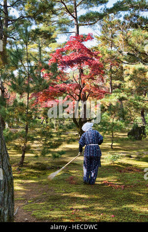 Rastrellare foglie a Kinkaku-ji (Padiglione Dorato), Kyoto, Giappone Foto Stock