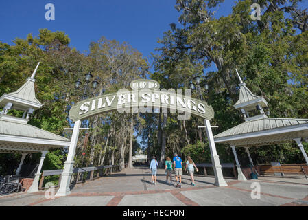 Silver Springs State Park è situato in Ocala, Florida, ed è sede di una delle più grandi sorgenti di acqua dolce nel mondo. Foto Stock