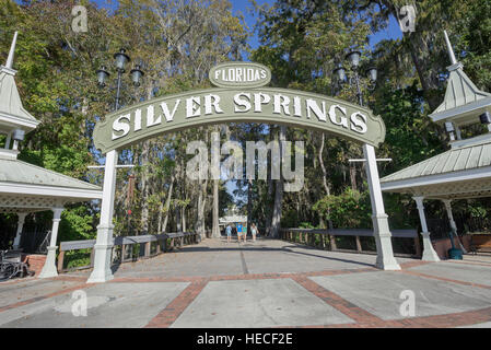 Silver Springs State Park è situato in Ocala, Florida, ed è sede di una delle più grandi sorgenti di acqua dolce nel mondo. Foto Stock