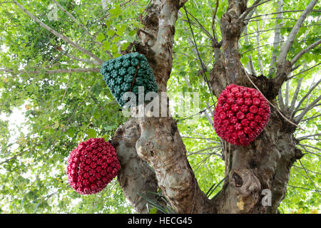 Le decorazioni di Natale fatto di bottiglie di plastica appendere sui rami di alberi, Capivari, Campos do Jordao, Sao Paulo, Brasile Foto Stock