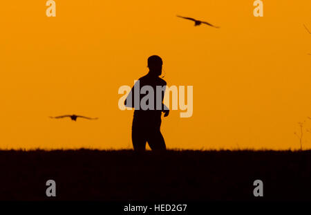 Hannover, Germania. Xxi Dec, 2016. Meteo. Un uomo jogging su un campo come il sole tramonta sull'orizzonte il 21 dicembre 2016 - il giorno più corto dell'anno - vicino ad Hannover in Germania. Dal 21 dicembre, il solstizio d'inverno, le notti saranno iniziano ad accorciarsi e i giorni diventerà più lungo. Credito: dpa picture alliance/Alamy Live News Foto Stock