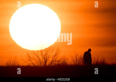 Hannover, Germania. Xxi Dec, 2016. Meteo. Un uomo passeggiando su un percorso di campo come il sole tramonta sull'orizzonte il 21 dicembre 2016 - il giorno più corto dell'anno - vicino ad Hannover in Germania. Dal 21 dicembre, il solstizio d'inverno, le notti saranno iniziano ad accorciarsi e i giorni diventerà più lungo. Credito: dpa picture alliance/Alamy Live News Foto Stock