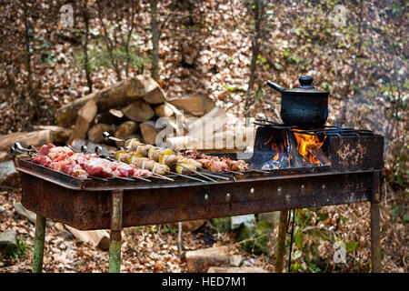 Kebab alla griglia Cottura su spiedino di metallo con patate.. Arrosti di carni cotte al barbecue. Grill, picnic, cibo di strada. Foto Stock