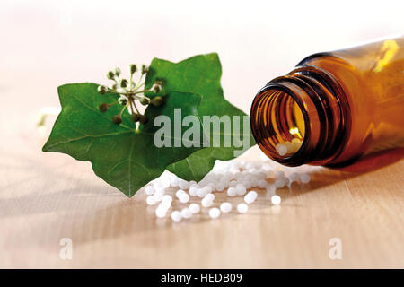 Globuli omeopatici la fuoriuscita di un farmacista bottiglia, edera (Hedera helix) Foto Stock