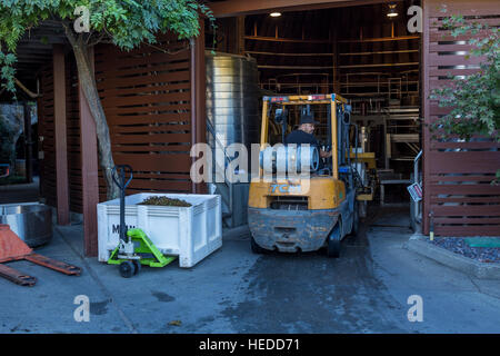 Cantina lavoratore, operatore carrello elevatore a forche, vini repris, Sonoma, Sonoma County, California, Stati Uniti, America del nord Foto Stock