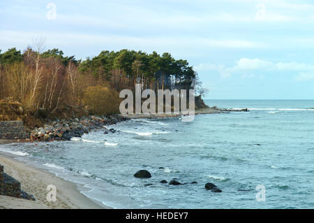 La costa selvaggia, la pineta in riva al mare, la ripida costa del mare Foto Stock