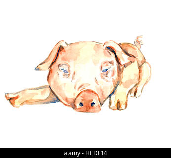 Carino rosa piggy lay, isolato dipinte a mano illustrazione ad acquerello Foto Stock