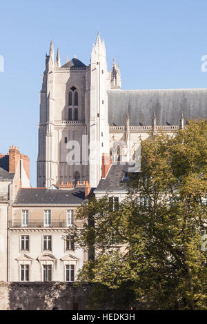 La cattedrale di San Paolo e di San Pietro o la Cattedrale di Saint-Pierre-et-Saint-Paul de Nantes nella città di Nantes. Foto Stock