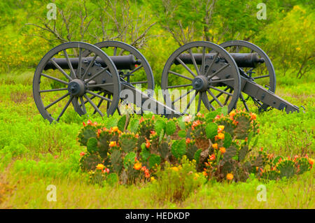 Cannone americano lungo il sentiero del campo di battaglia, Palo Alto Battlefield National Historic Park, Texas Foto Stock