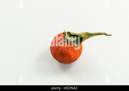 Mandarin surmature su uno sfondo bianco Foto Stock