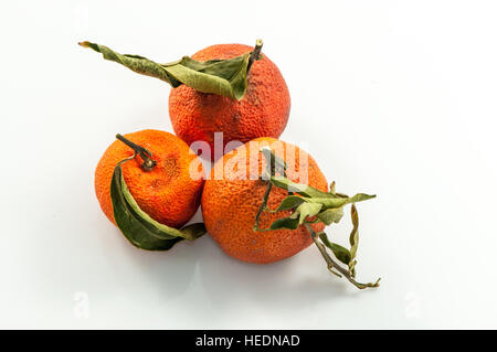 Mandarin surmature su uno sfondo bianco Foto Stock