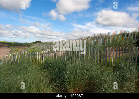 Wired Picket Fence utilizzato come dune di sabbia la misura di conservazione per preservare la forma naturale e di proteggere la fauna selvatica naturale habitatreland Foto Stock