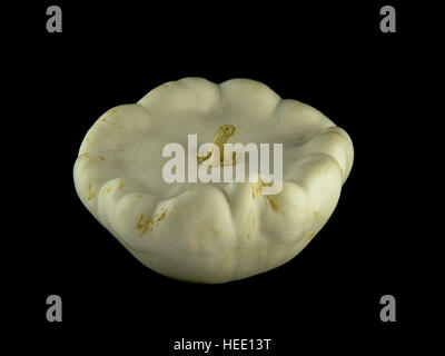 Pattypan bianco o festone squash, isolato su sfondo nero Foto Stock