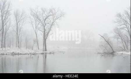 Il lago in un parco di Chicago in inverno Foto Stock