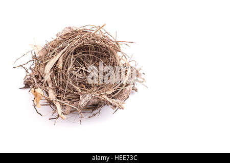 Chiudere fino vecchio vuoto bird nest isolati su sfondo bianco Foto Stock