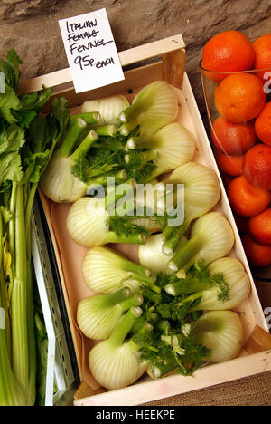 Charlie & Anna Hicks con i loro autonoma fruttivendolo shop in Hay-on-Wye,Powys,Galles,UK. Foto Stock