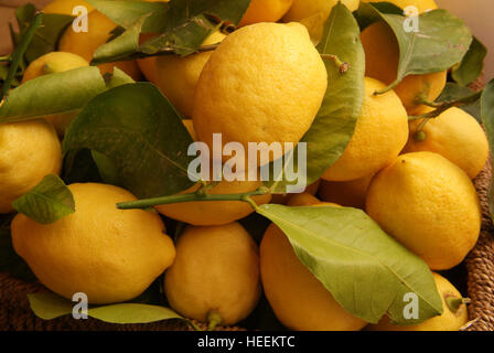 Charlie & Anna Hicks con i loro autonoma fruttivendolo shop in Hay-on-Wye,Powys,Galles,UK. Foto Stock
