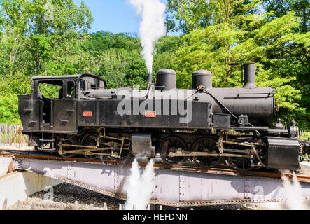 Locomotiva giradischi sul treno de l'Ardèche ferroviario turistico, Colombier le Vieux - Saint-Barthélémy le Plain, Ardèche, Francia Foto Stock